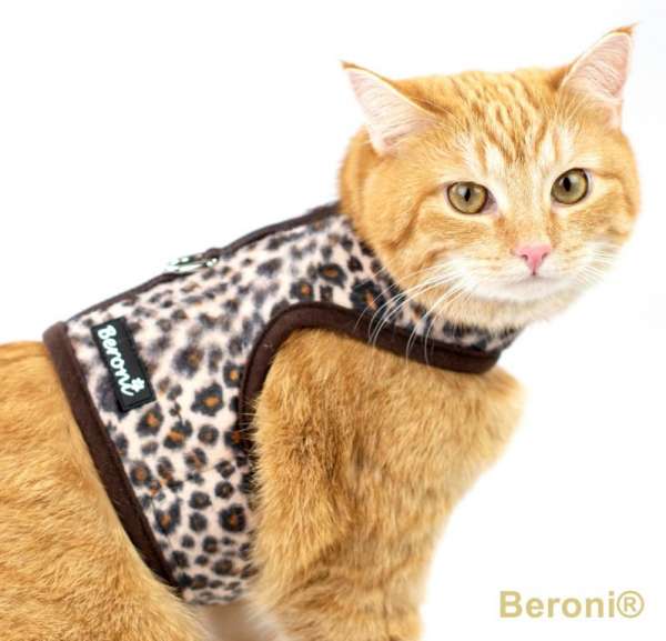 Cat Walking Jacket Katzengeschirr Leopard