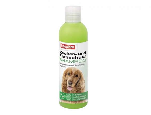 shampoo gegen flöhe und zecken katzen und hunde flohschutz shampoo