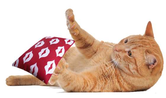 Spielkissen LIPS mit Bio Katzenminze oder Baldrianwurzel 9 x 14 cm