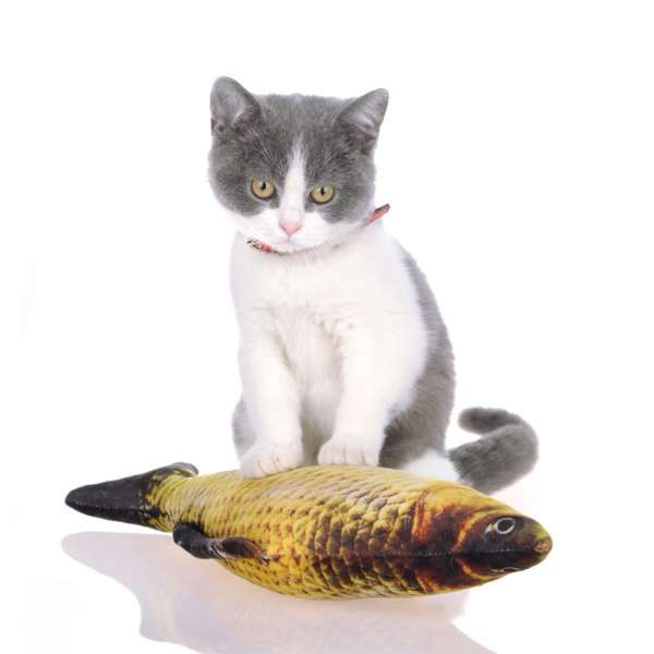 Fisch Katzenspielzeug real 3D mit nachfüllbarer Katzenminze